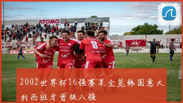 2002世界杯16强赛果全览韩国意大利西班牙晋级八强