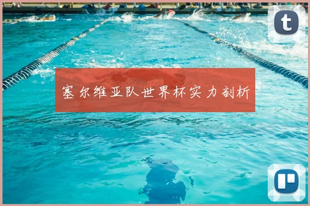 塞尔维亚队世界杯实力剖析