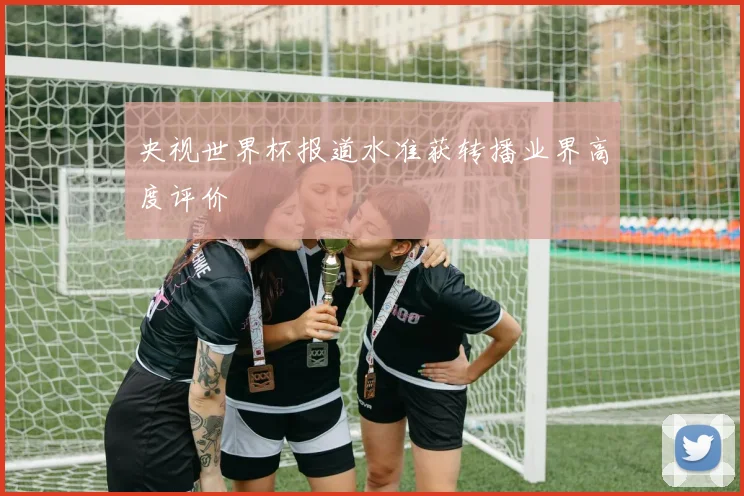 央视世界杯报道水准获转播业界高度评价