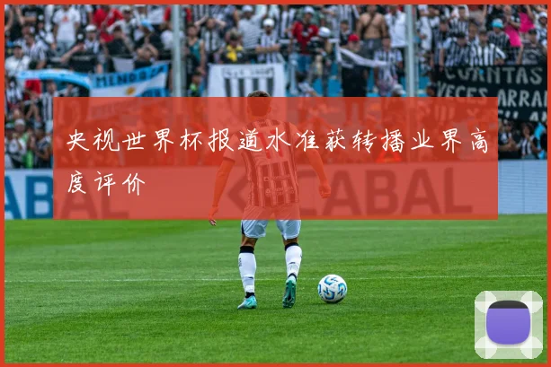 央视世界杯报道水准获转播业界高度评价