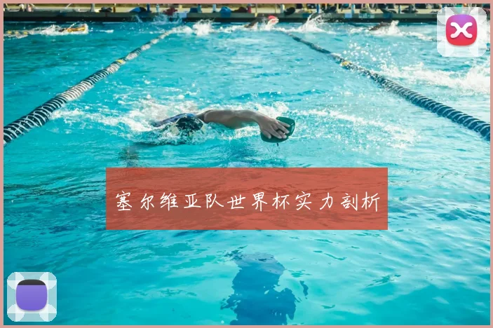 塞尔维亚队世界杯实力剖析